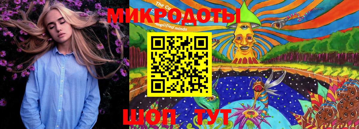 Галлюциногенные грибы Psilocybe  Вход с VPN  Вичуга 